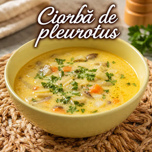 CIORBĂ DE PLEUROTUS